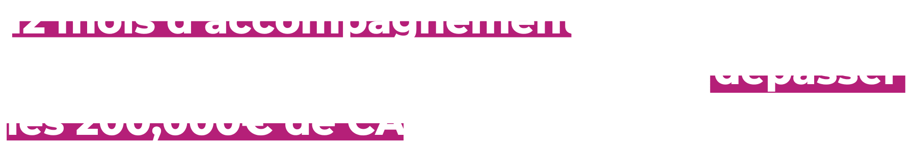 12 mois d’accompagnement pour structurer et personnaliser votre business et dépasser les 100,000€ de CA par an.